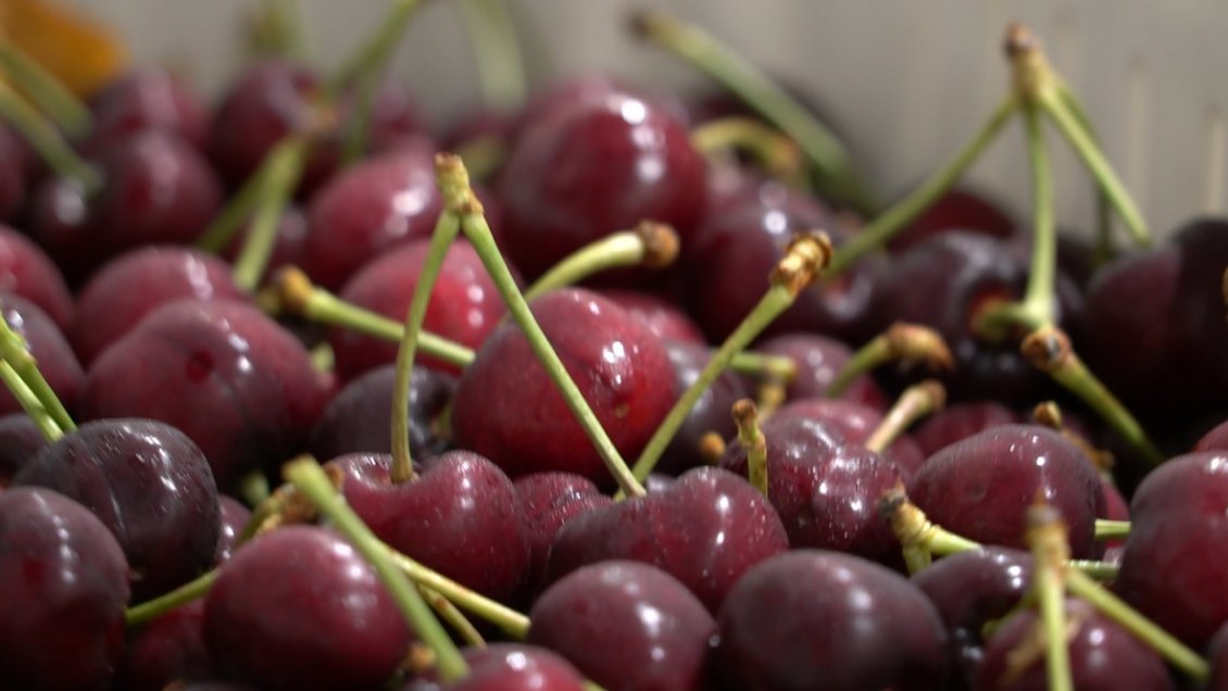 Los chinos no perdonan la falta del 