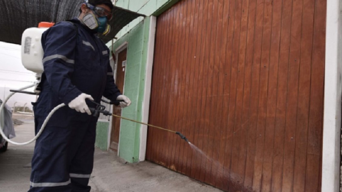 A más de la mitad bajaron trámites de desratización predemolición en Antofagasta