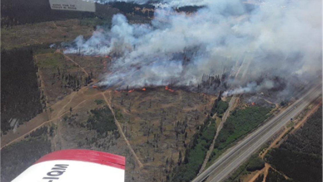 Conaf declaró alerta roja para Temuco por incendio forestal