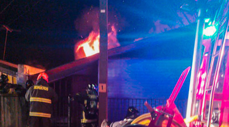 Dos mascotas fueron rescatadas de incendio que afectó a una casa de Punta Arenas