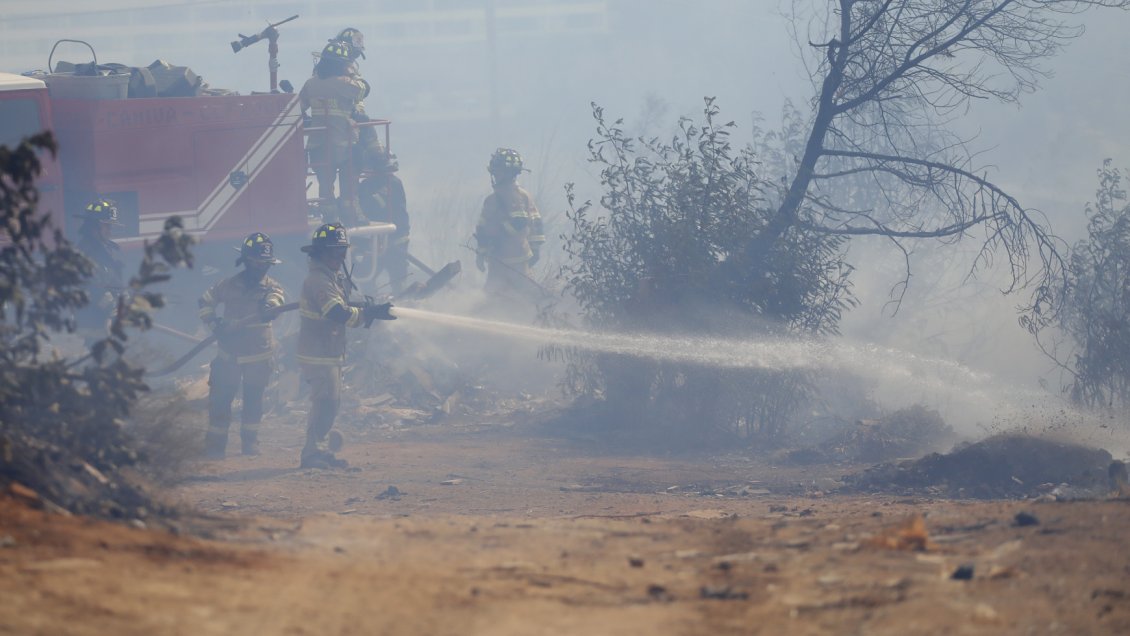 Incendio forestal destruyó estructura de caballeriza en San Fernando