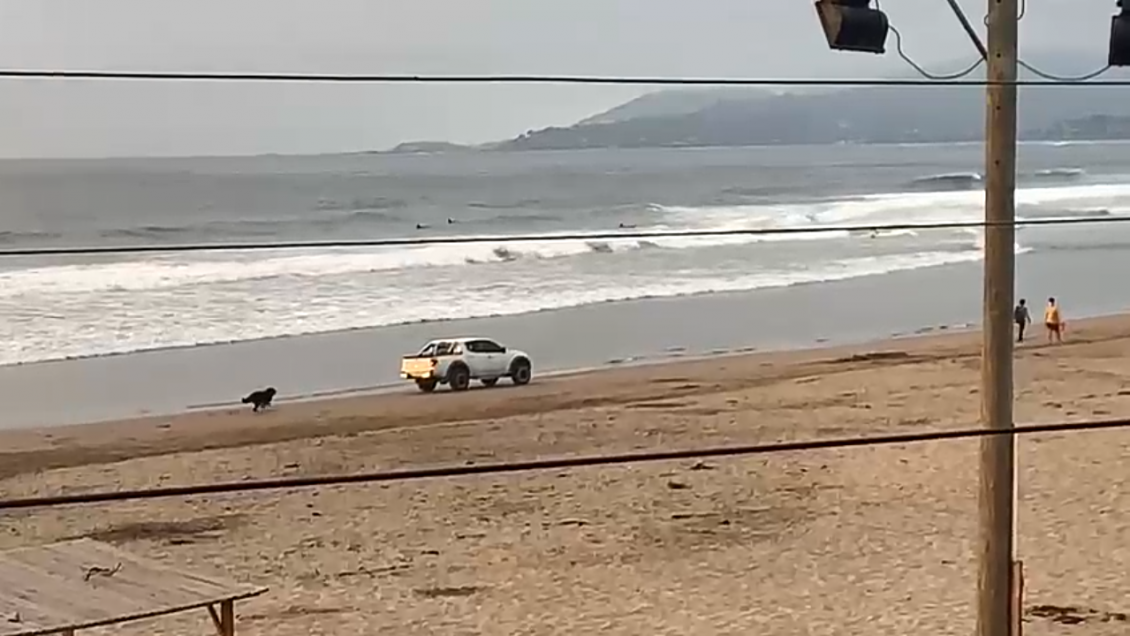 Conductor ingresó con su camioneta a la playa y mató a perrita en Maitencillo