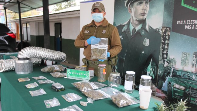 Policías sacan cuentas alegres por aumento de decomisos de drogas en Aysén