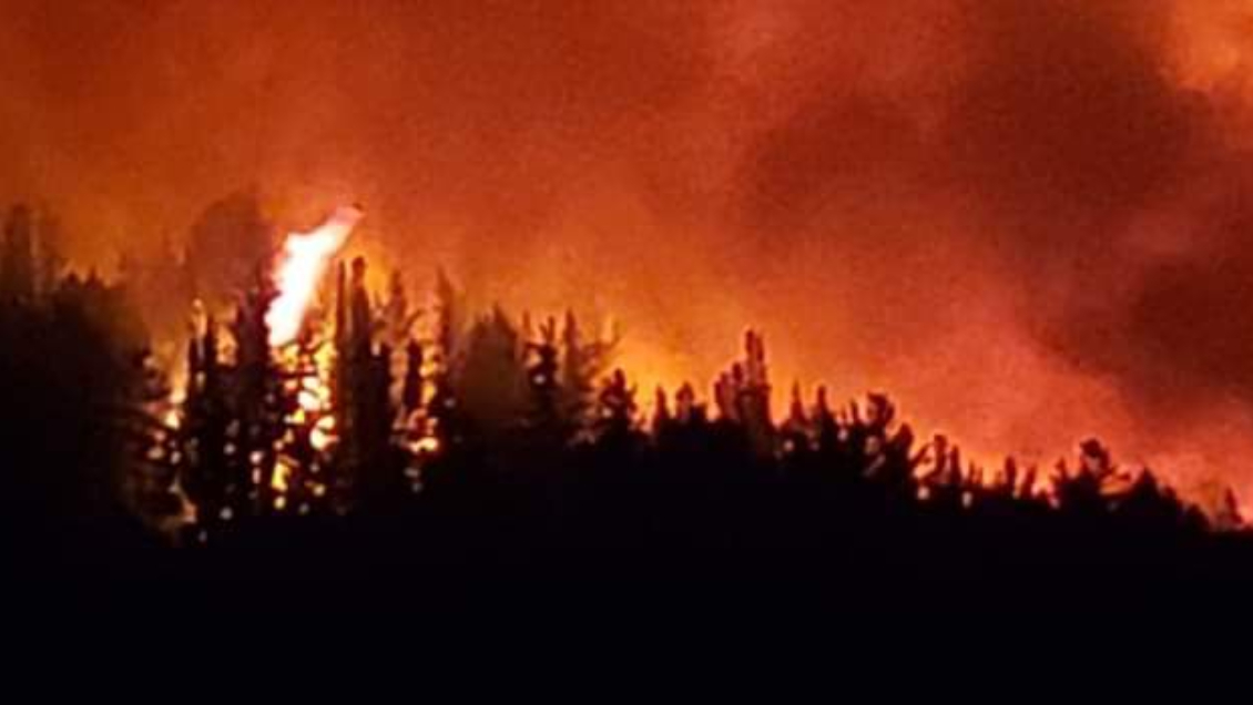 Nacimiento en alerta roja por incendio forestal activo desde este jueves