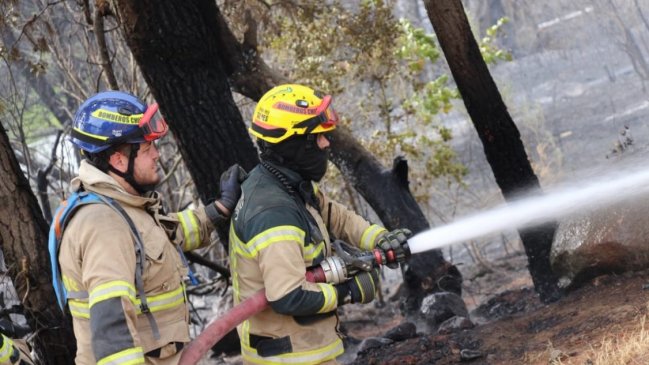 Dos viviendas consumidas en incendio que generó la primera alerta roja del año en Chillán