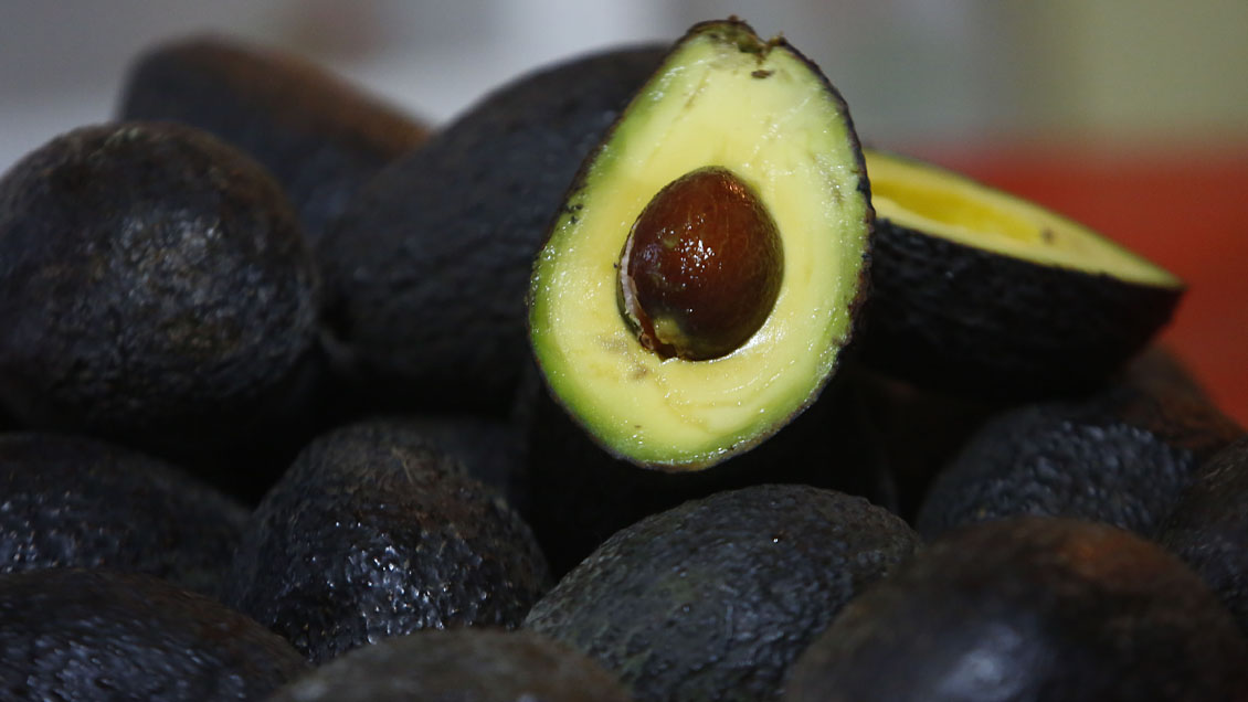 Precio de la palta en Chile superó al de exportación