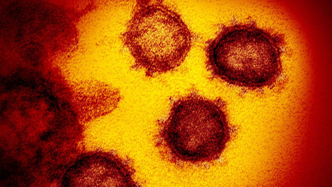 Científicos de EEUU identifican dos nuevas variantes del coronavirus