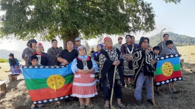 Comunidades mapuche se reunirán en Temucuicui para analizar escenario violento