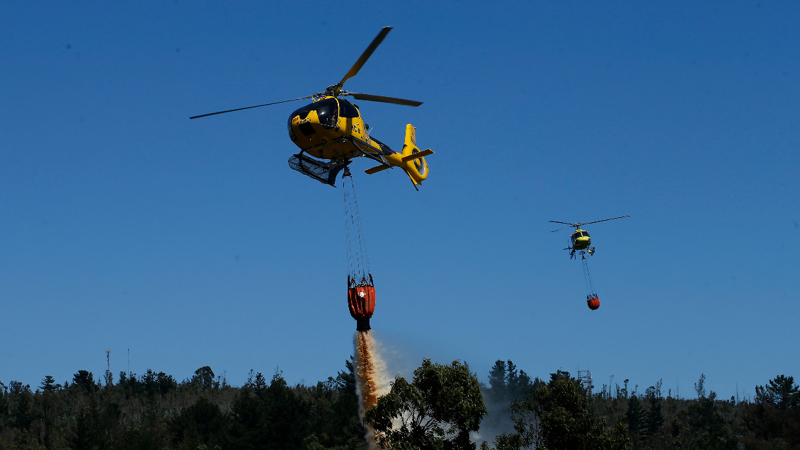 Incendio forestal se registra en Angol: Fuego amenaza a viviendas
