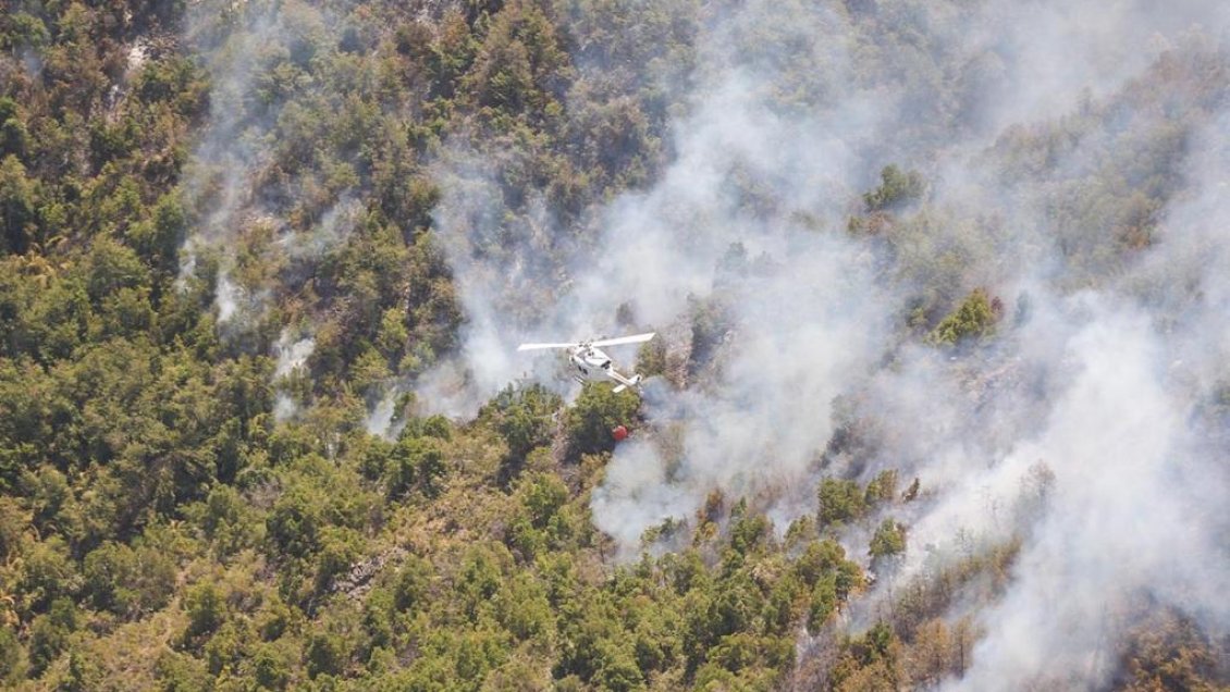Alerta Roja por incendio forestal en Chanco que amenaza reserva nacional