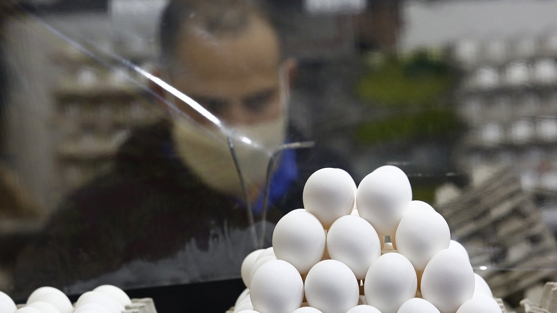 Venta de huevos de origen boliviano preocupa al SAG de Tarapacá