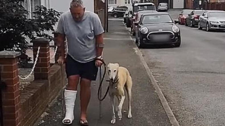 Gastó 300 mil pesos por cojera de su perro y descubrió que sólo lo estaba imitando