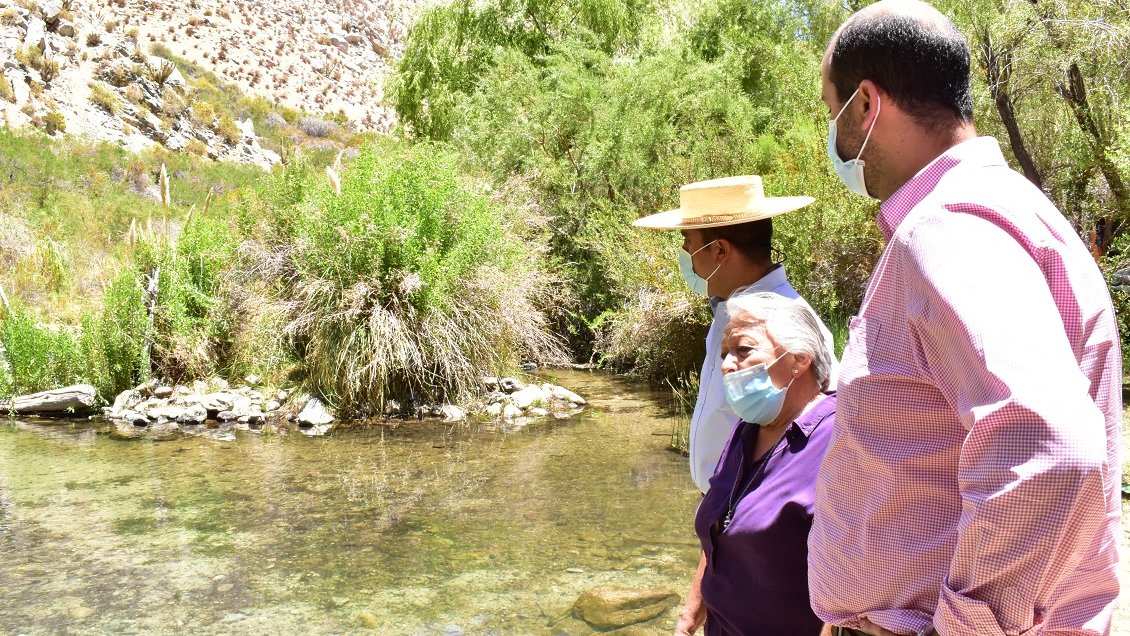 Se presentó informe para declarar Santuario de la Naturaleza a Cochiguaz