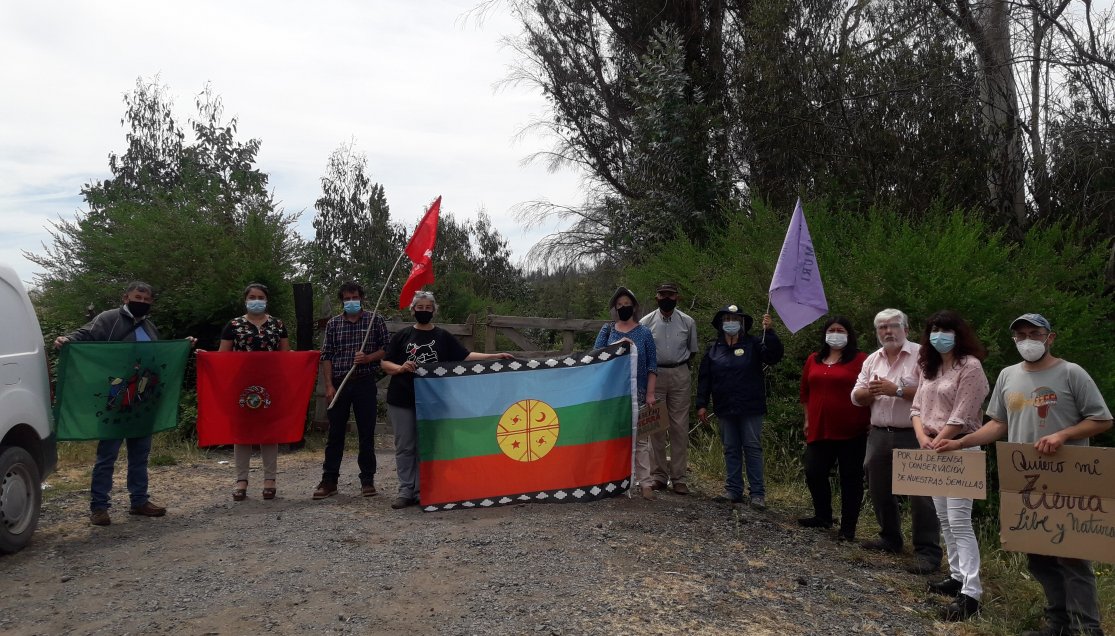 No va la “Granja China” en Ñuble: Se descartó instalación en predio de San Nicolás