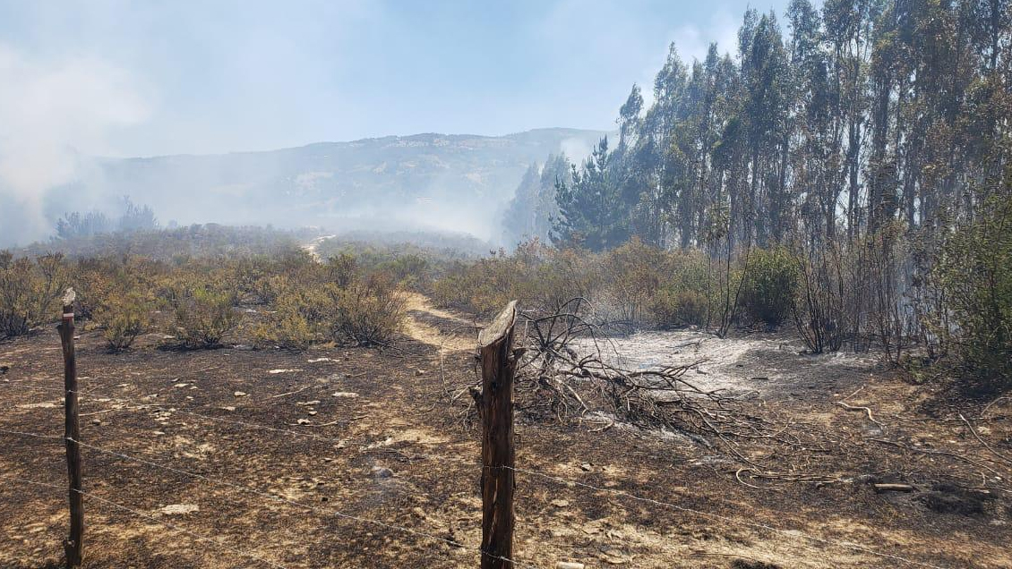 Detenido un sospechoso de causar incendio forestal que mantiene con alerta roja a Los Sauces
