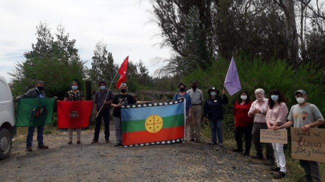 No va la “Granja China” en Ñuble: Se descartó instalación en predio de San Nicolás