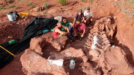   ¿Tuvo Argentina el dinosaurio más grande del mundo? 