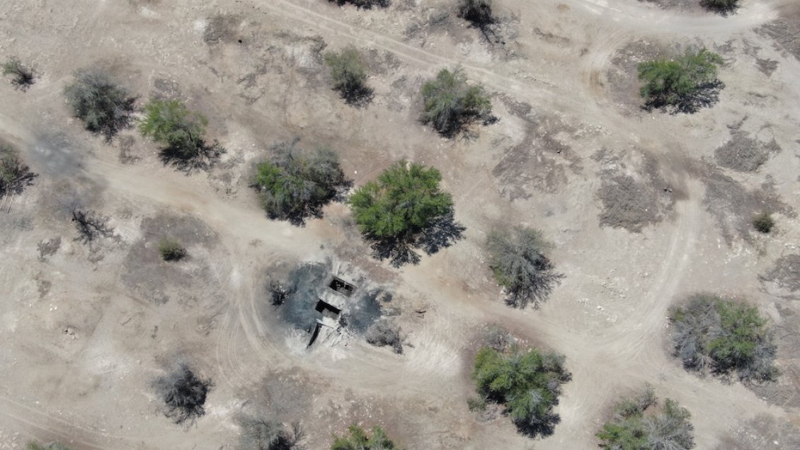 Sorprenden a sujeto realizando tala ilegal de tamarugos para fabricar carbón