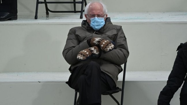 Jamie Lee Curtis y Arnold Schwarzenegger se unen al meme de Bernie Sanders recordando 