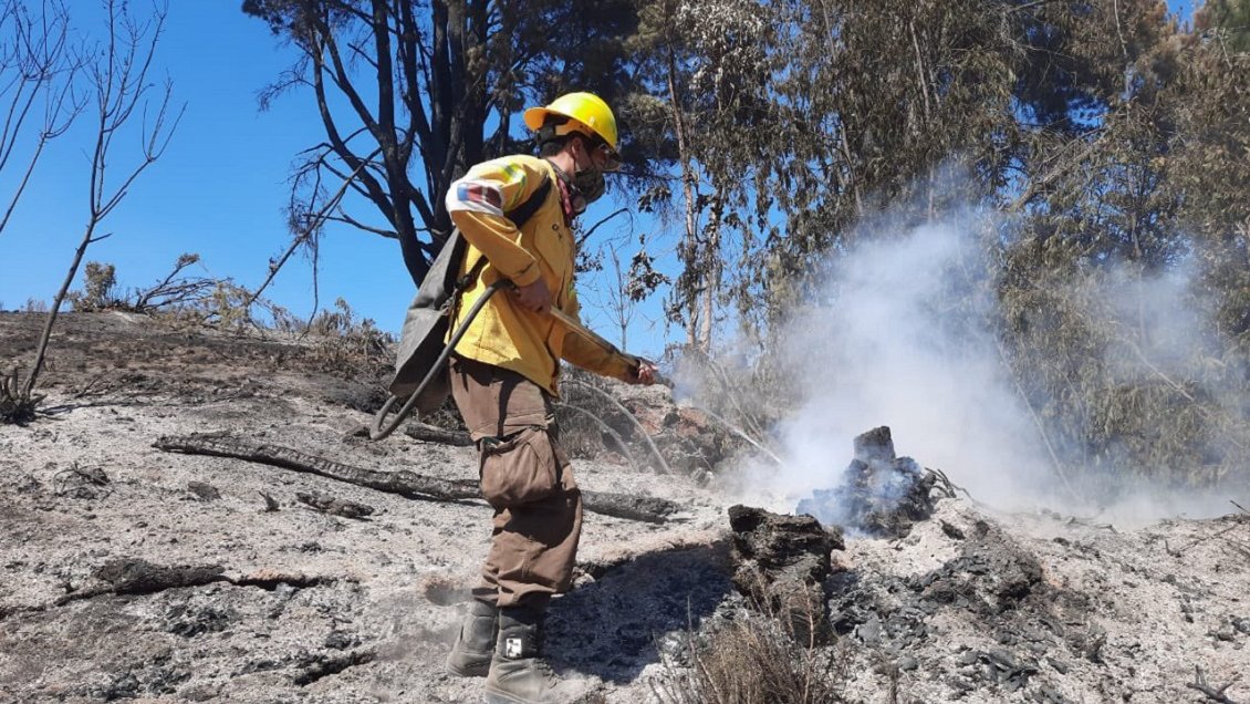 Biobío: Declaran alerta roja por incendio forestal que amenaza a la Reserva Nacional Ralco