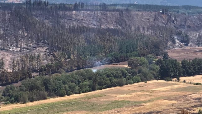 Contenido el incendio forestal en Collipulli y Ercilla que obligó evacuaciones