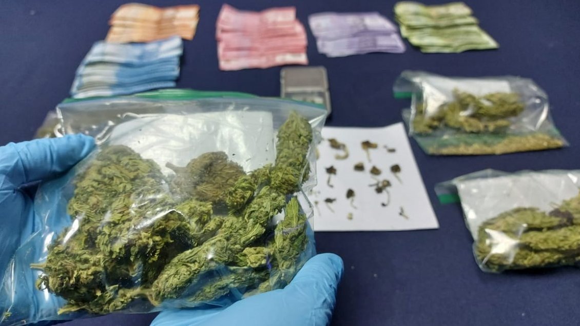 PDI detuvo por microtráfico a mujer que tenía marihuana y hongos alucinógenos en Chillán