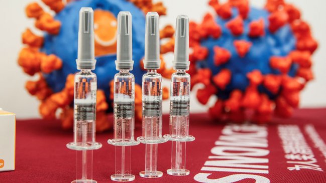 Estudio Sinovac: Capacidad de generar anticuerpos es equivalente en adultos y adultos mayores