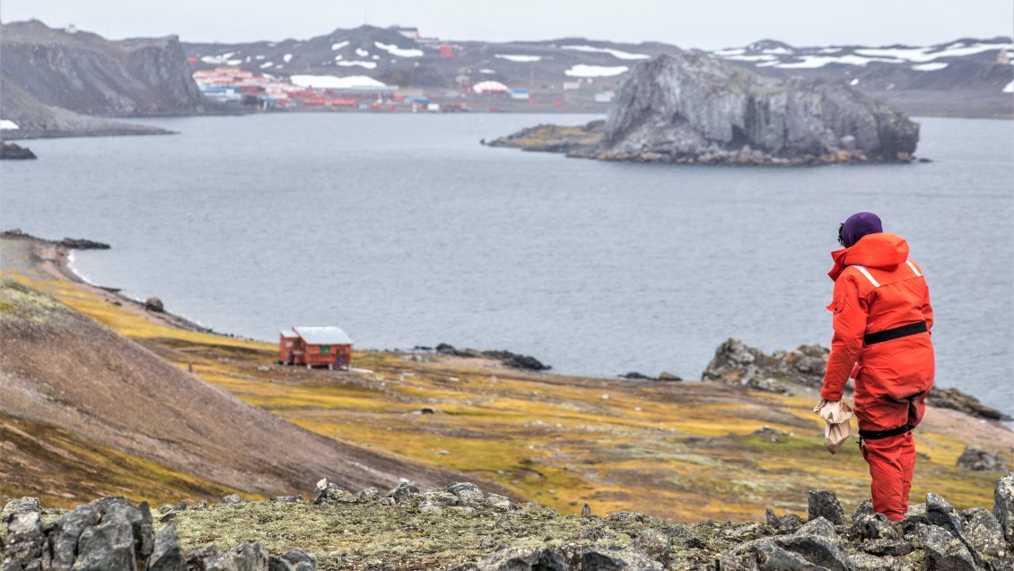 Universidad de Chile investigará inusual actividad sísmica en la Antártica