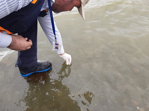 Comenzó proceso de participación ciudadana en Plan de Descontaminación del Lago Villarrica