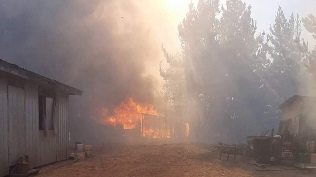 Alerta roja por incendio forestal en Lumaco: Al menos tres casas afectadas