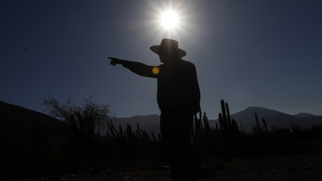 Productores de fruta de Chile perdieron 150 millones de dólares por el sistema frontal