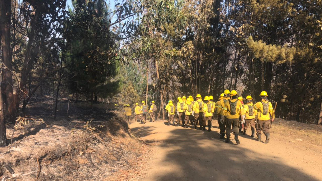 Conaf reportó que hay seis incendios forestales en combate en La Araucanía