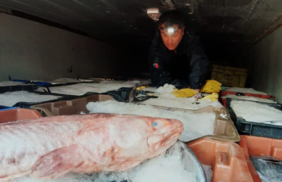 Decomisan tres toneladas de pescado en La Araucanía