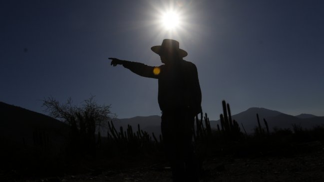 Productores de fruta de Chile perdieron 150 millones de dólares por el sistema frontal