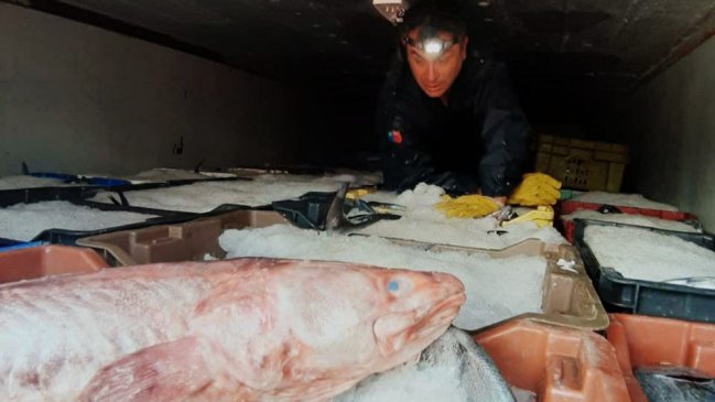 Decomisan tres toneladas de pescado en La Araucanía
