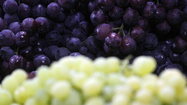 Declaran emergencia agrícola en las provincias de San Felipe y Los Andes