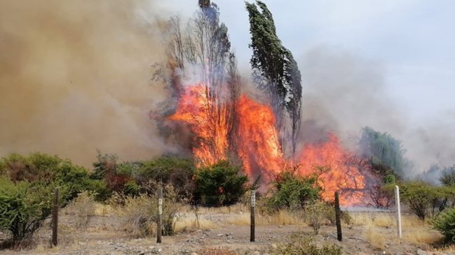 Incendio forestal moviliza a Bomberos en Colina
