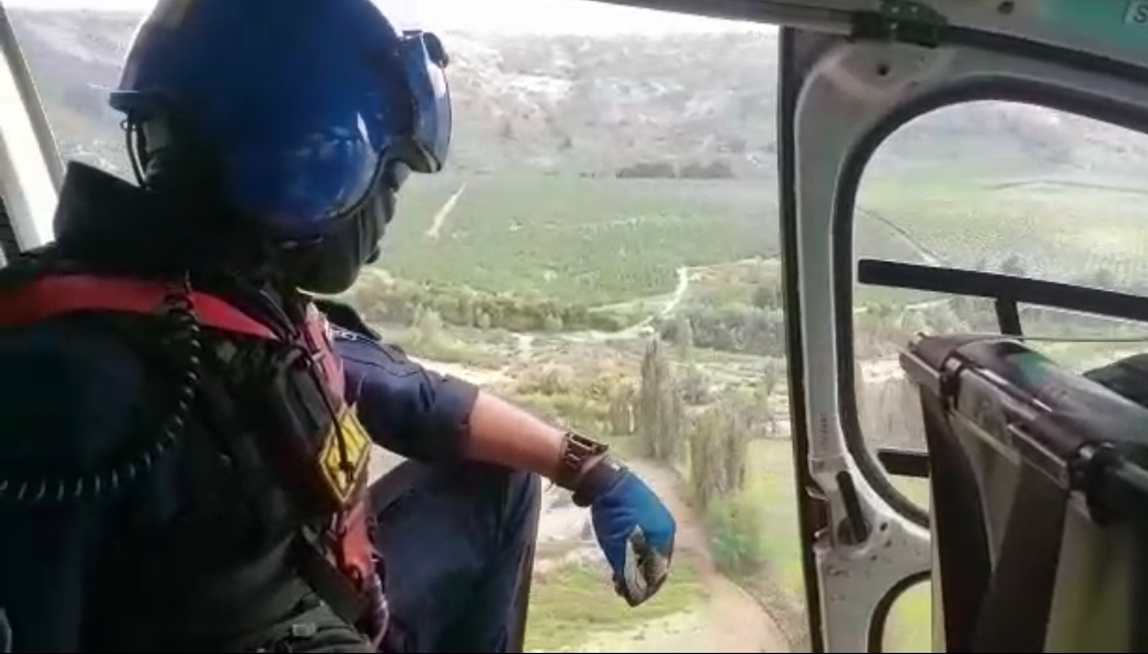 Curicó: PDI decomisó plantación de marihuana avaluada en 21 mil millones de pesos