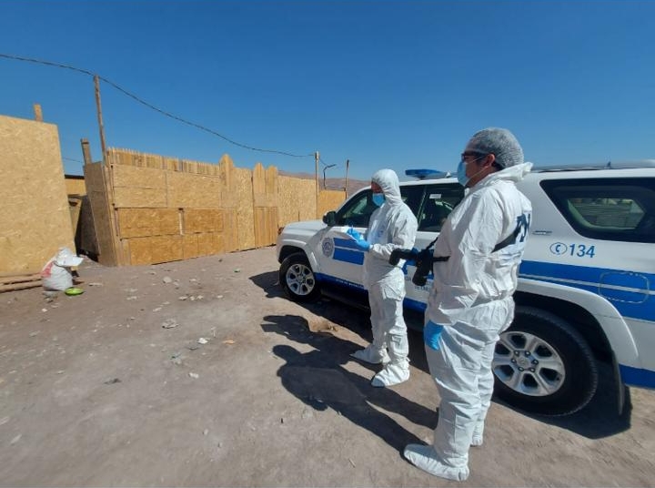 PDI investiga femicidio en Alto Hospicio