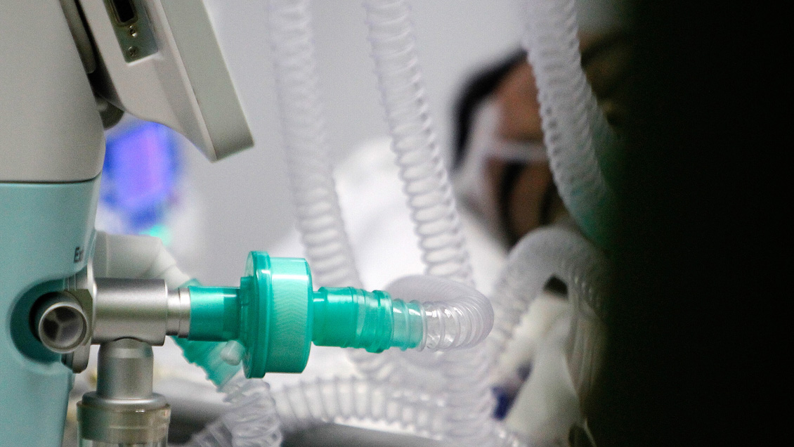 Un hombre de 55 años, el primer caso de hantavirus en lo que va del año en el Biobío