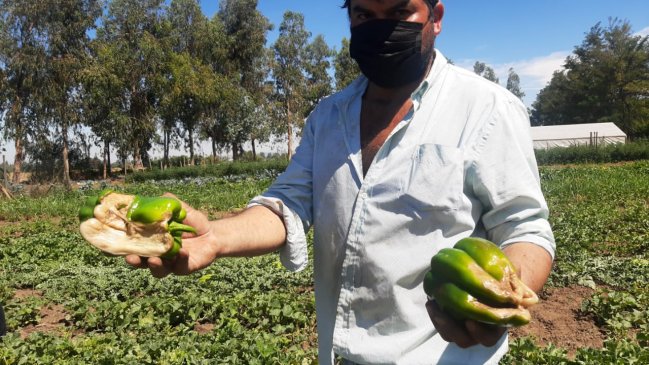 Gobierno entregará bono de 200 mil pesos a cada afectado por las lluvias en el Maule
