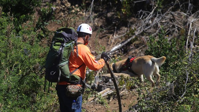 Con aviones tripulados y en un radio de 8 kilómetros, sigue la búsqueda de Tomás en Arauco