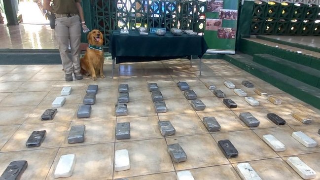 Carabineros de Antofagasta interceptó 210 mil dosis de droga en ruta a Coquimbo
