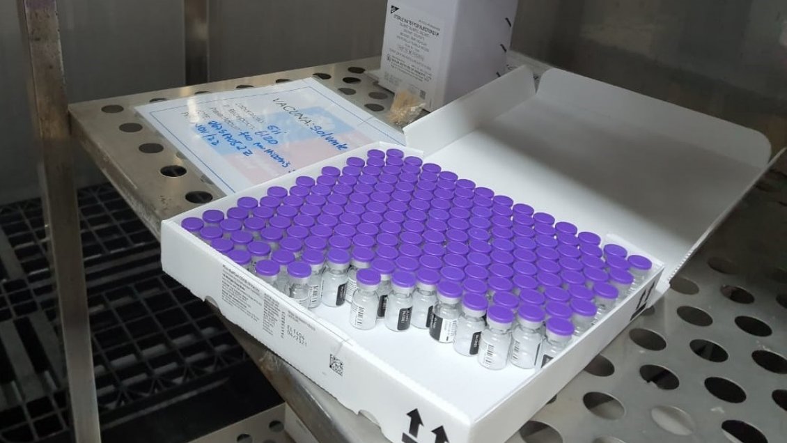 Nueva remesa de vacunas Pfizer llega a Tarapacá para inmunizar a trabajadores de la educación