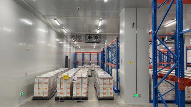 Cerca de cuatro millones de vacunas llegarán a Chile entre jueves y viernes