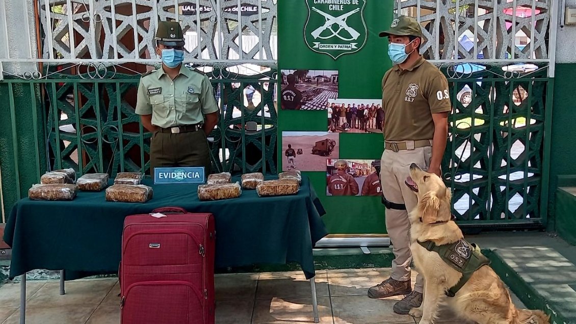 Carabineros decomisó droga avaluada en más de 52 millones de pesos en Antofagasta