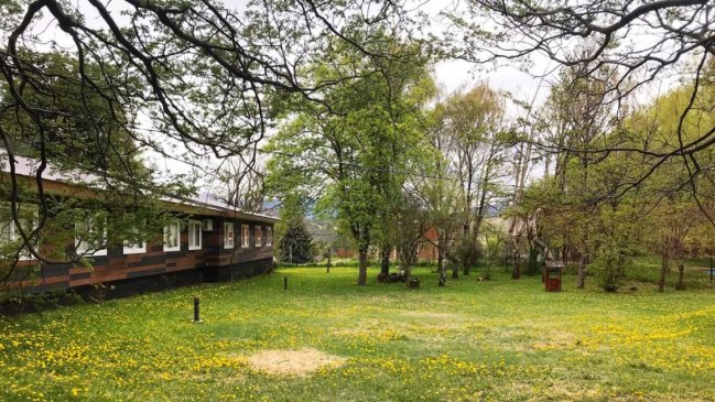 U. de Aysén concluyó sumario por denuncia de violación de docente a estudiante y alista etapa acusatoria