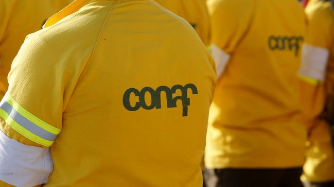 Director provincial de Conaf fue asaltado en Traiguén