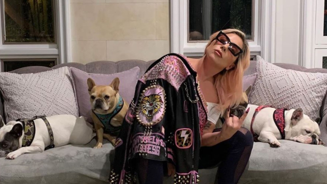 Lady Gaga recupera a sus perros robados