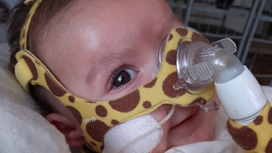 Grandes empresas del Maule se ausentaron de la 